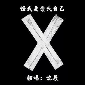 怪我更爱我自己 (Cover 赵紫骅)