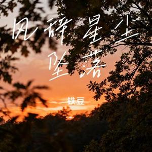 孤城鲸落独白