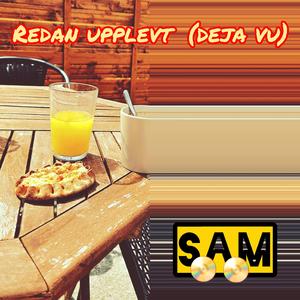 REDAN UPPLEVT (DEJA VU)