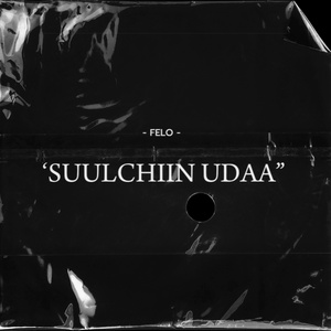 Suulchiin udaa