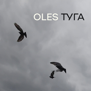 Туга