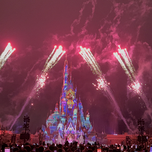 南京的风吹不到松花江.wav