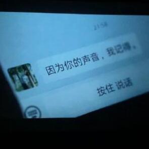 如果声音不记得（女版）（翻自 Miya）