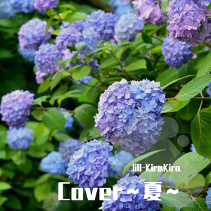 愛のかたまり（爱的聚合物）