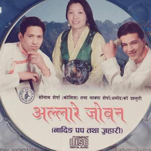 Jadaina hoi dolma
