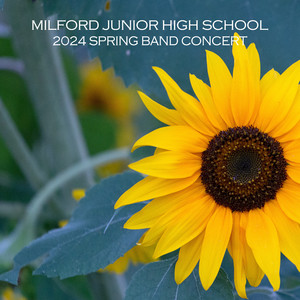 The Great Locomotive Chase (Live)