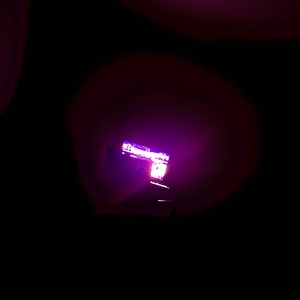 gotta grip ! (feat. rudeboykhris)