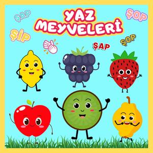 Erik Adam Şip Şap Şop