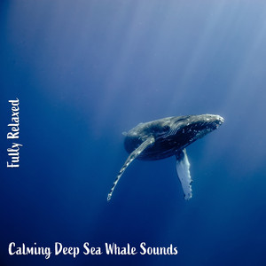 Calming Deep Sea Whale Sounds, Pt. 2