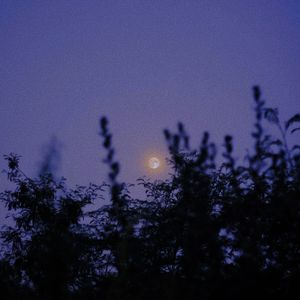 陈绮贞 - 小尘埃（Shock23 Remix）