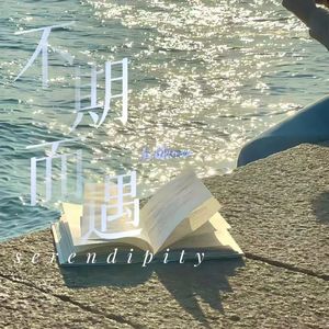 serendipity(不期而遇)