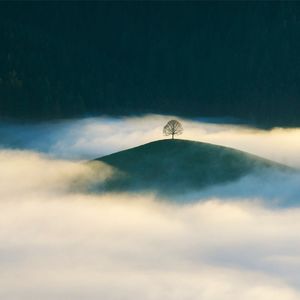 谷雨时节的茶山云雾