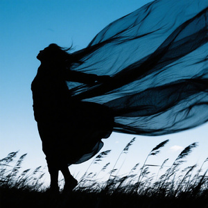 风多大才能吹散思念