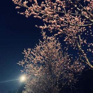 我知道夜很难熬