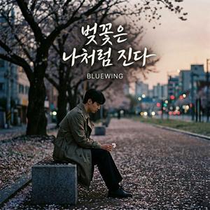 벚꽃은 나처럼 진다