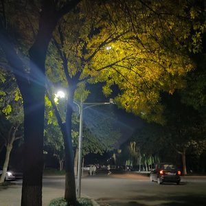 孤身（别回头往前走）