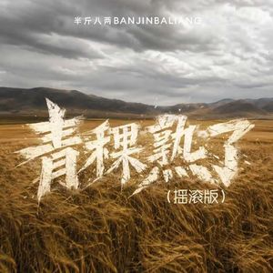 青稞熟了(摇滚版)