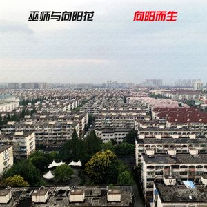 向阳而生（中世纪暗黑女声版）