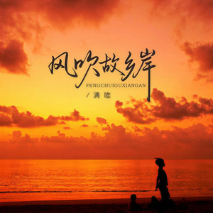 风吹故乡岸 (男生版伴奏)