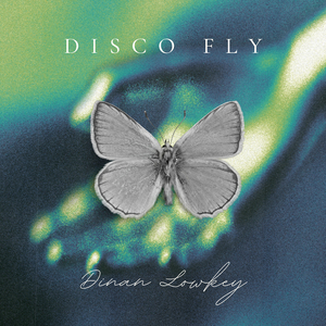 DISCO FLY