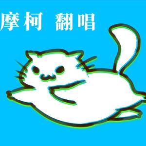 我的猫狂奔了一整夜