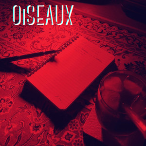 Oiseaux