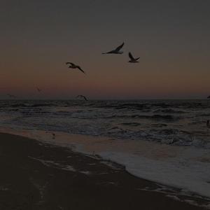 我快要忘记你了