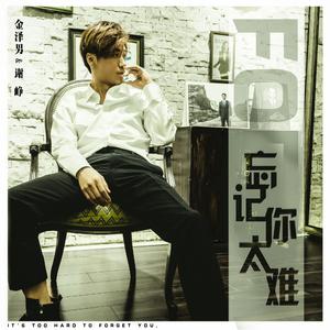 忘记你太难 (金泽男solo版)