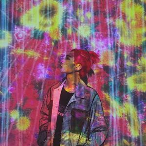 情歌（翻自 简弘亦）