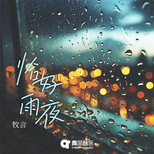 恰好雨夜