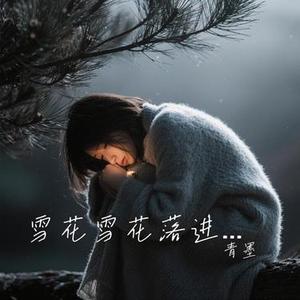 雪花雪花落进酒杯 (青墨 Remix)