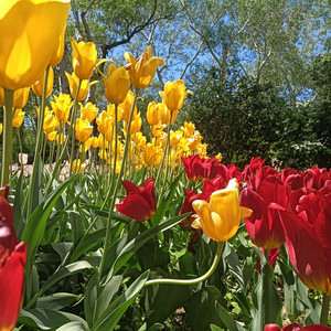 夏天的风景（纯音乐）