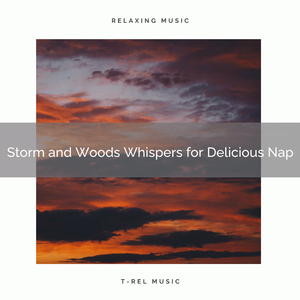Rain and Woods Whispers for Perfect Sleep