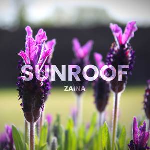 Sunroof