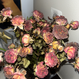 小霞 男生版 cover