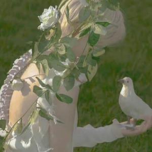 杀死那个石家庄人