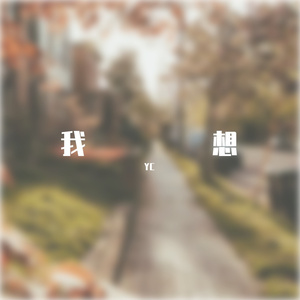 我想 demo
