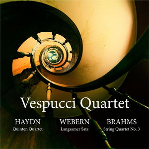 String Quartet in D Minor, Op. 76 No. 2 "Quinten": I. Allegro