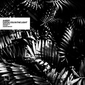 Catch You in the Light (Stiv Hey Space Remix)