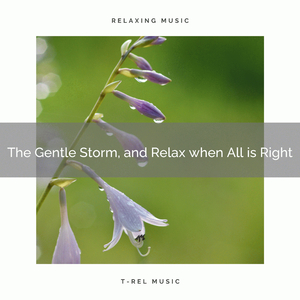 Now the Crystal Clear Rain Is Still Pouring for Your Relax