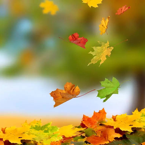 回不去的何止是时间