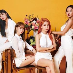 Décalcomanie（翻自 无）