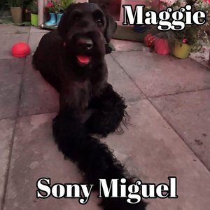 Maggie (Balearic Mix)