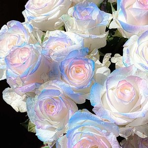 在加纳共和国离婚