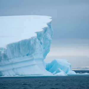 你永远不可能真正了解一个人