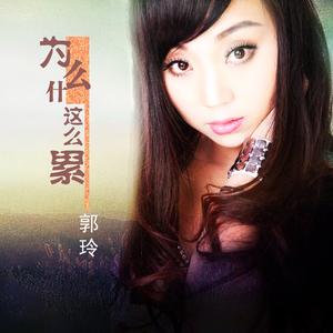 为什么这么累 (DJ何鹏版)