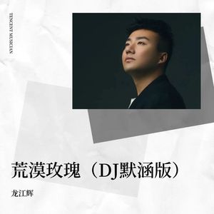 荒漠玫瑰 (DJ默涵版|女版|伴奏)