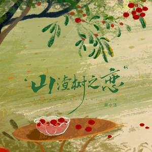 山楂树之恋（你的喜好你的习惯） (DJ豪大大版)