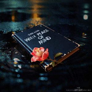 airship (feat. Vida.Maria)