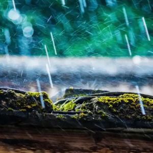 Screen time（with杨智焜）